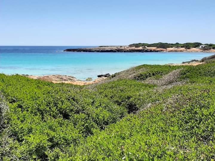 Apartamentos Costa Menorca Cala'N Bosch  Exterior foto